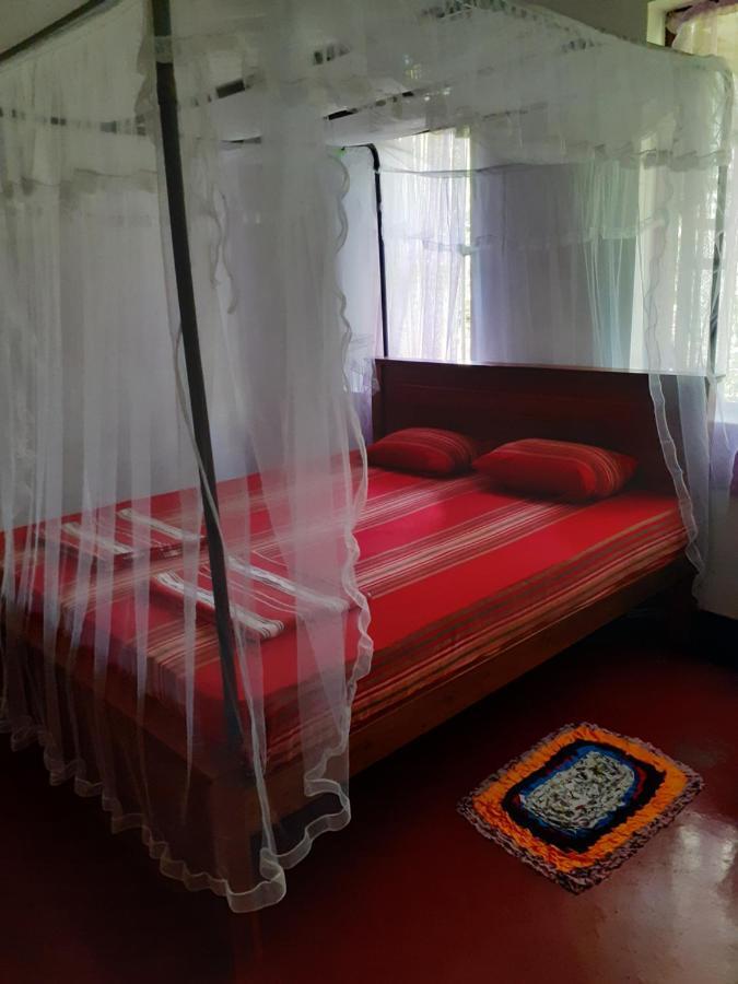 Dreams Garden Surf Lodge Midigama East Εξωτερικό φωτογραφία